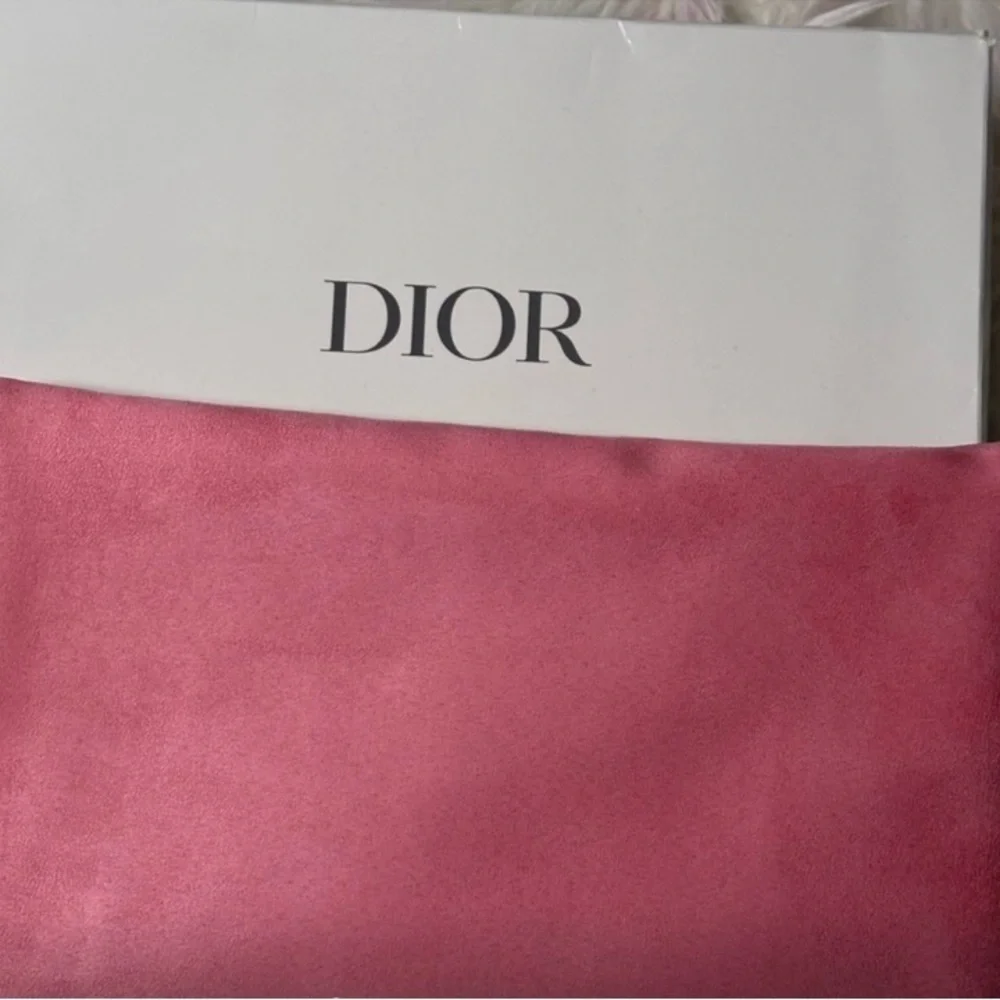 Dior Trousse Pouch Clutch Bag